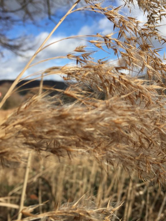 Beginn der Grabungen