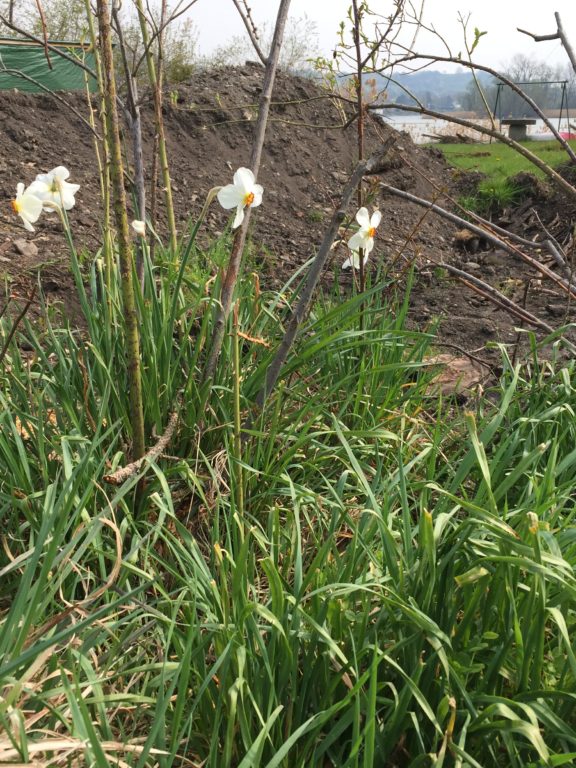 Kurzeinsatz am Samstag