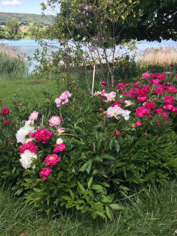 Vorbereiten Bodenplatte