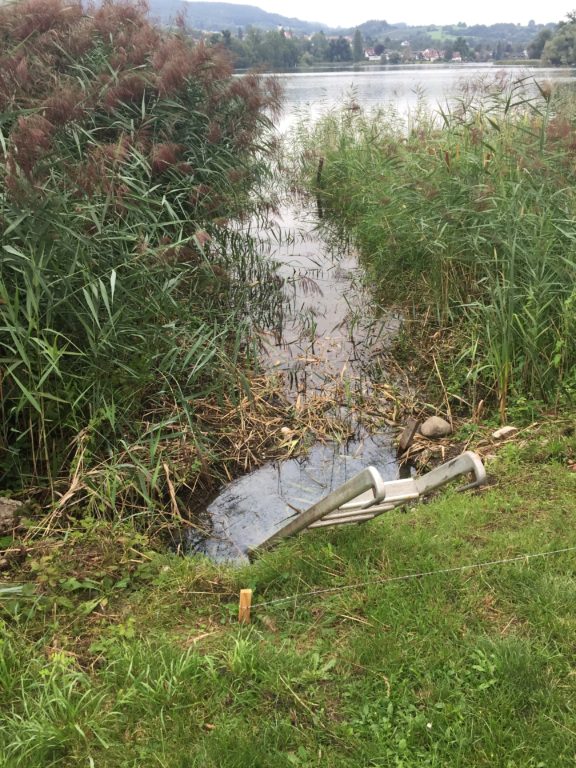 Betonierende in Sicht